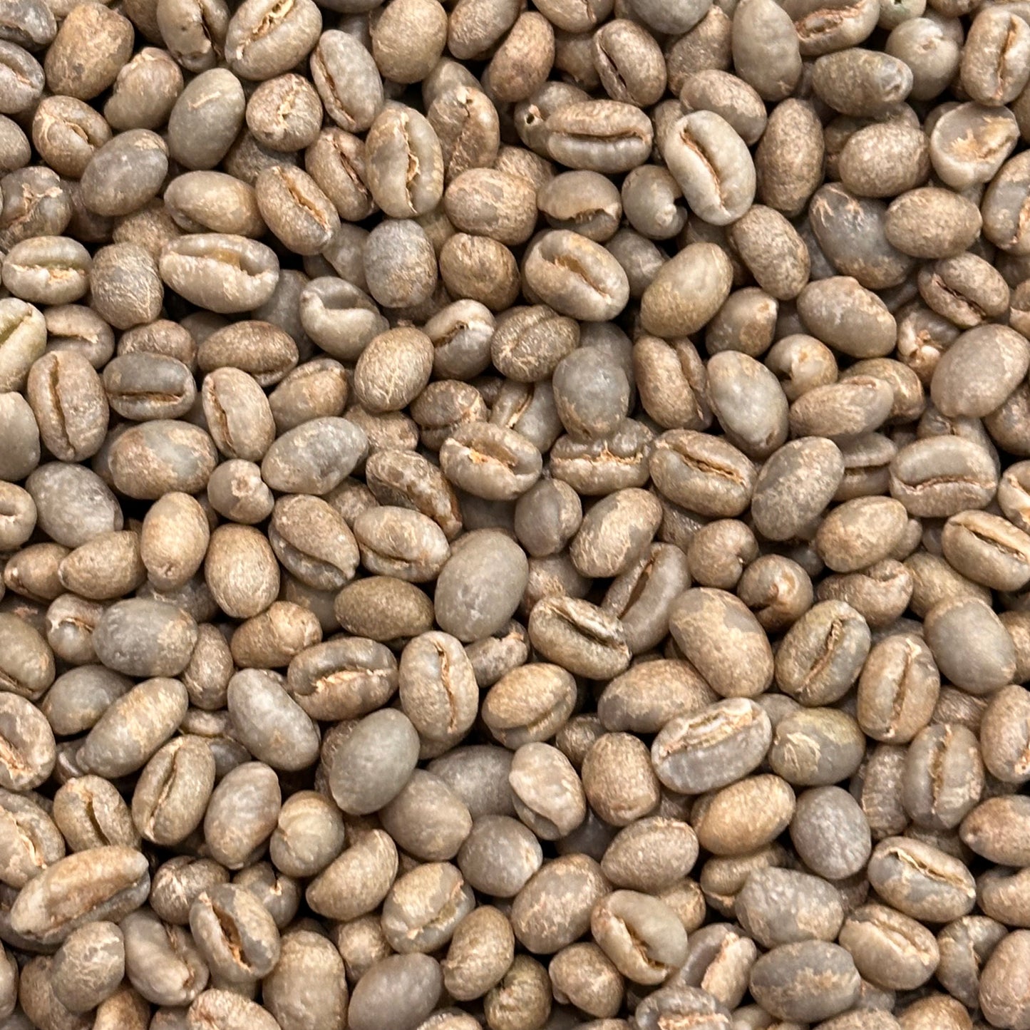 Kenya Kirinyaga