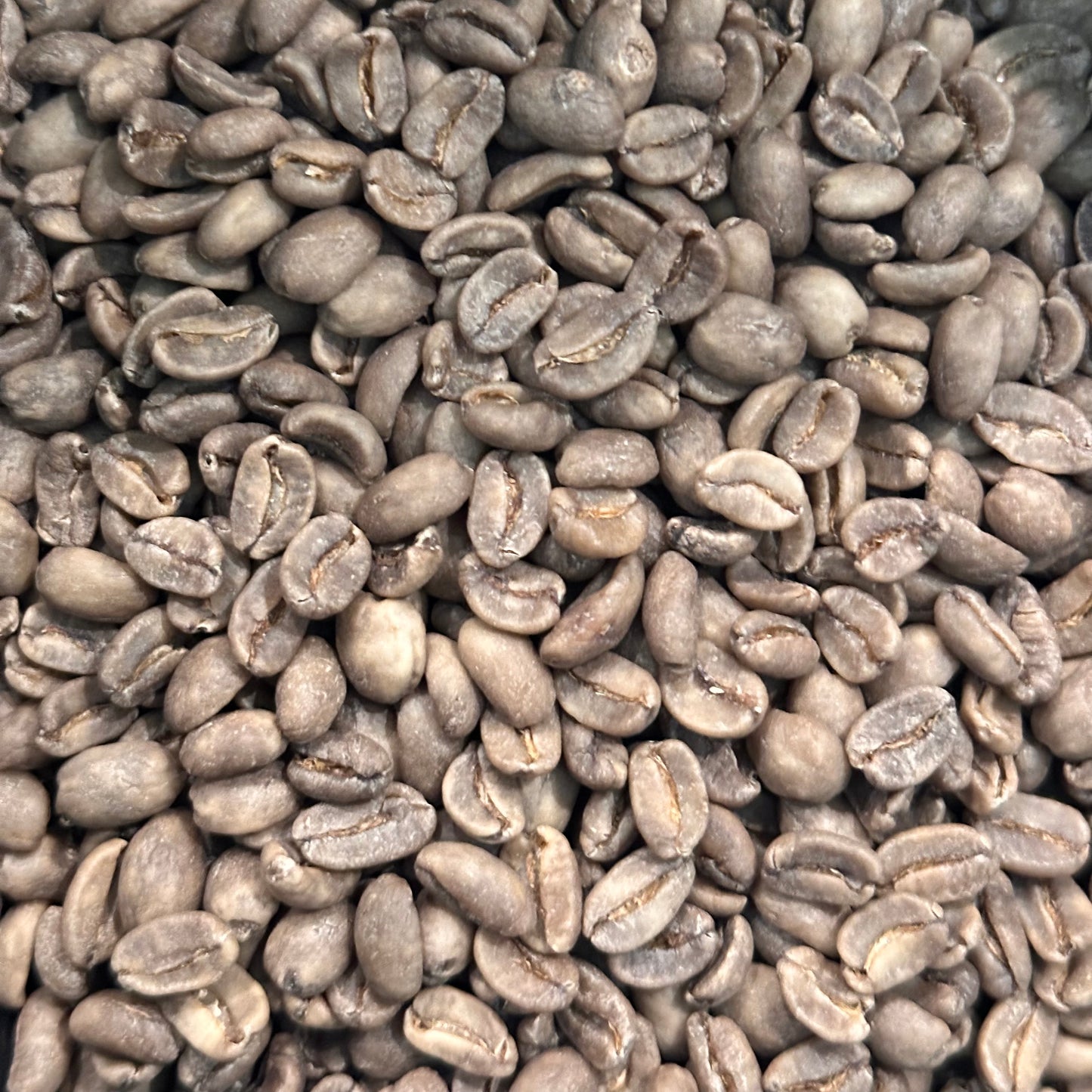 Peru Cajamarca, decaf