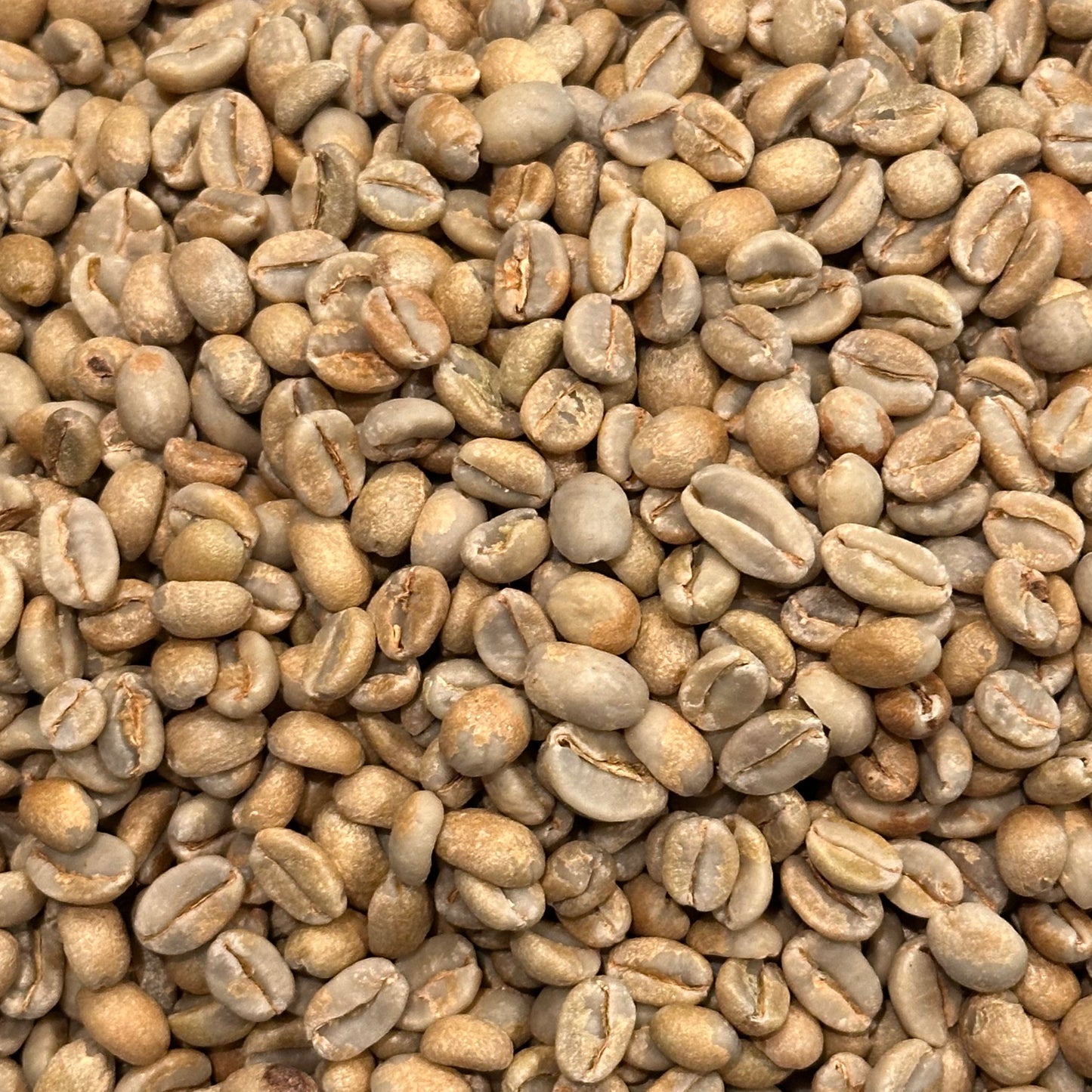 Ethiopia Guji